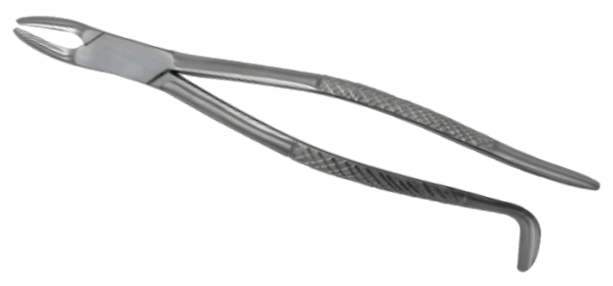 12 Inch Equine Dental Forceps - ERV-VI-SRG-00002