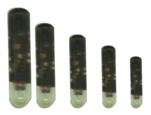 134.2 kHz Animal RFID Glass Tags - ERV-VI-AUX-00001