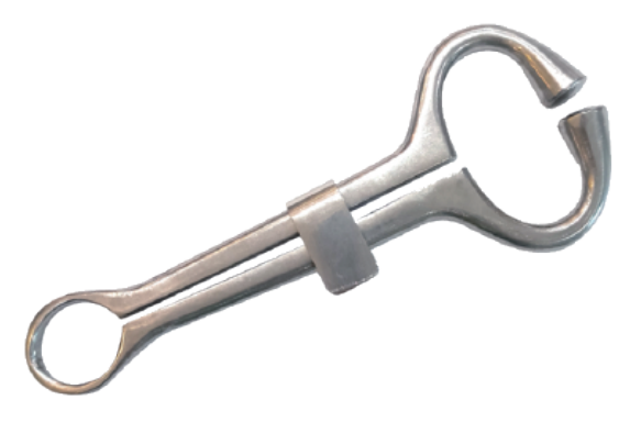 18.5 cm Stainless Steel Bull Holder - ERV-VI-HUS-00022