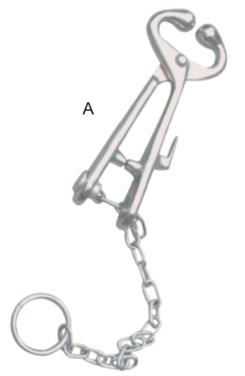 20 cm Carbon Steel Bull Holder with Chain - ERV-VI-HUS-00016