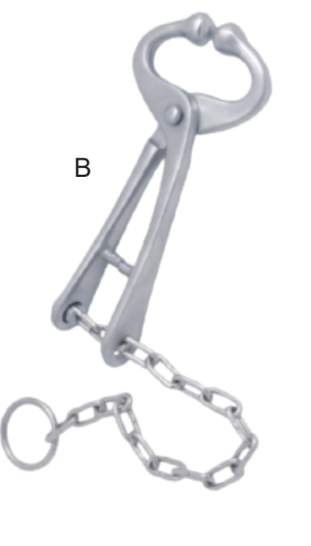 20 cm Stainless Steel Bull Holder with Chain - ERV-VI-HUS-00017