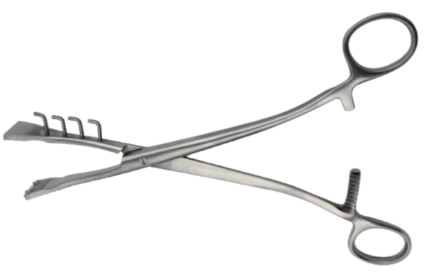 24 cm Vulsellum Forceps - ERV-VI-SRG-00007