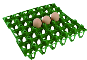 30-Egg Plastic Tray