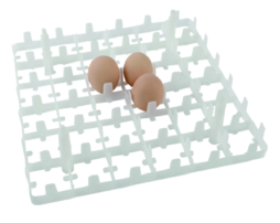 36-Egg Plastic Tray
