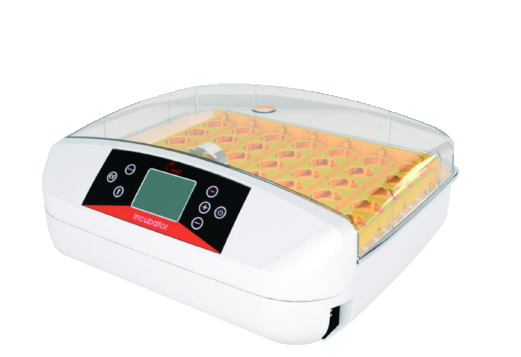 46 or 56-Egg Incubator with Automatic Turning - ERV-VI-EQP-00013