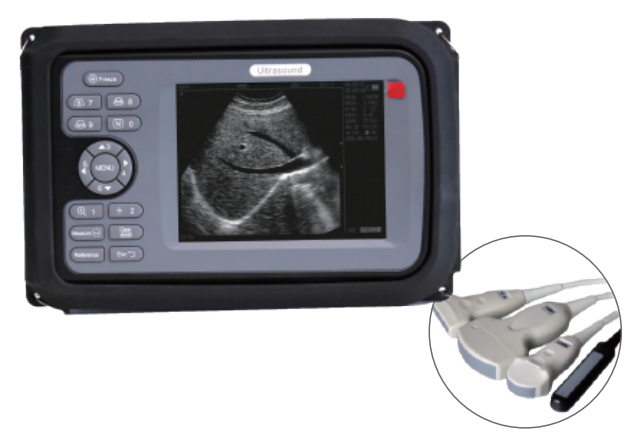 5.5-Inch Veterinary B-Mode Ultrasound Scanner - ERV-VI-DIA-00007