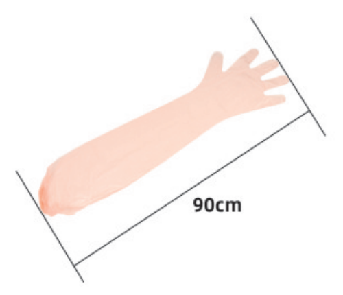 90 cm Disposable EVA Long-Arm Gloves with Elastic - ERV-DF-FRM-00003