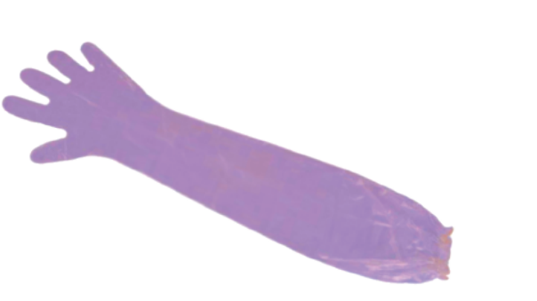 90 cm Long Veterinary Glove with Strap - ERV-VI-FRM-00013