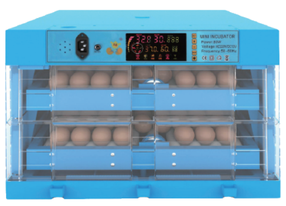Cabinet Egg Incubator with 64-192 Egg Options - ERV-VI-EXT-00007