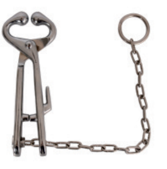 Carbon Steel Bull Holder with Chain - ERV-DF-CARE-00017