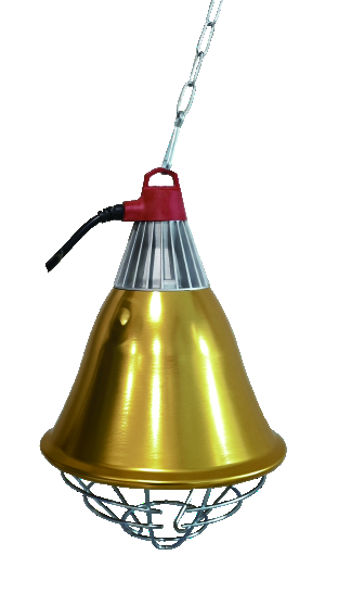 E27 Heat Lamp Cover 21.5 x 33 cm with Inline Switch - ERV-VI-EQP-00001