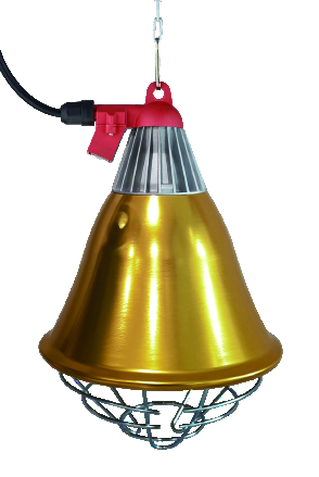 E27 Heat Lamp Cover 21.5 x 33 cm with Mounted Switch - ERV-VI-EQP-00002