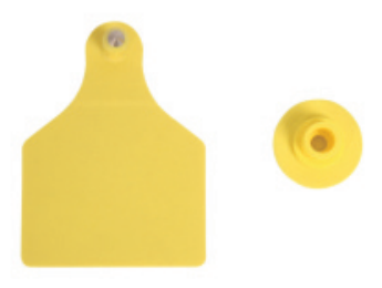 Fan-Shaped TPU Pig Ear Tags 42 x 50 mm - ERV-DF-ID-00006