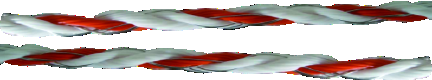 Fence Polywire with Six 0.15 mm Steel Conductors - ERV-VI-FEN-00002