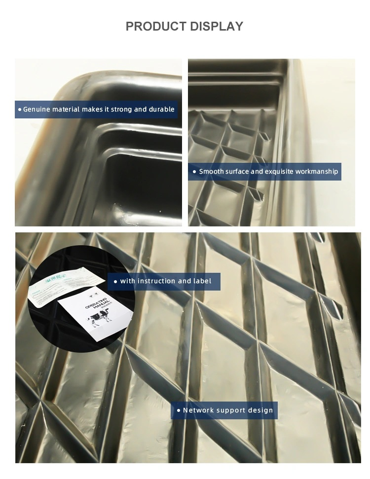 Rim, sidewall and raised floor details