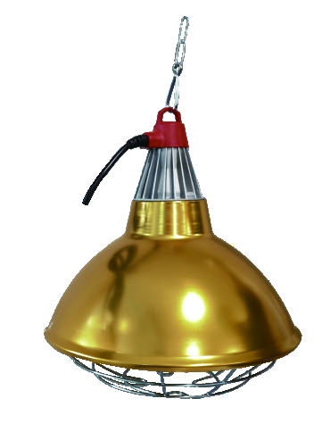 Large E27 Heat Lamp Cover 30 x 34 cm with Inline Switch - ERV-VI-EQP-00003