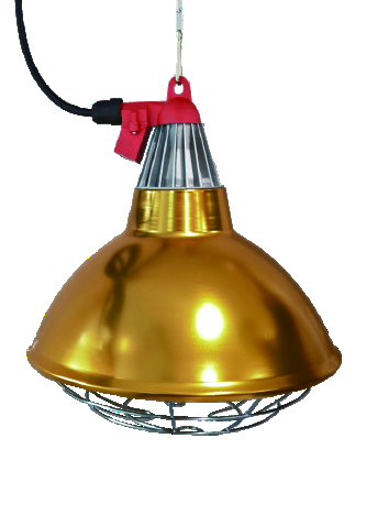 Large E27 Heat Lamp Cover 30 x 34 cm with Mounted Switch - ERV-VI-EQP-00004