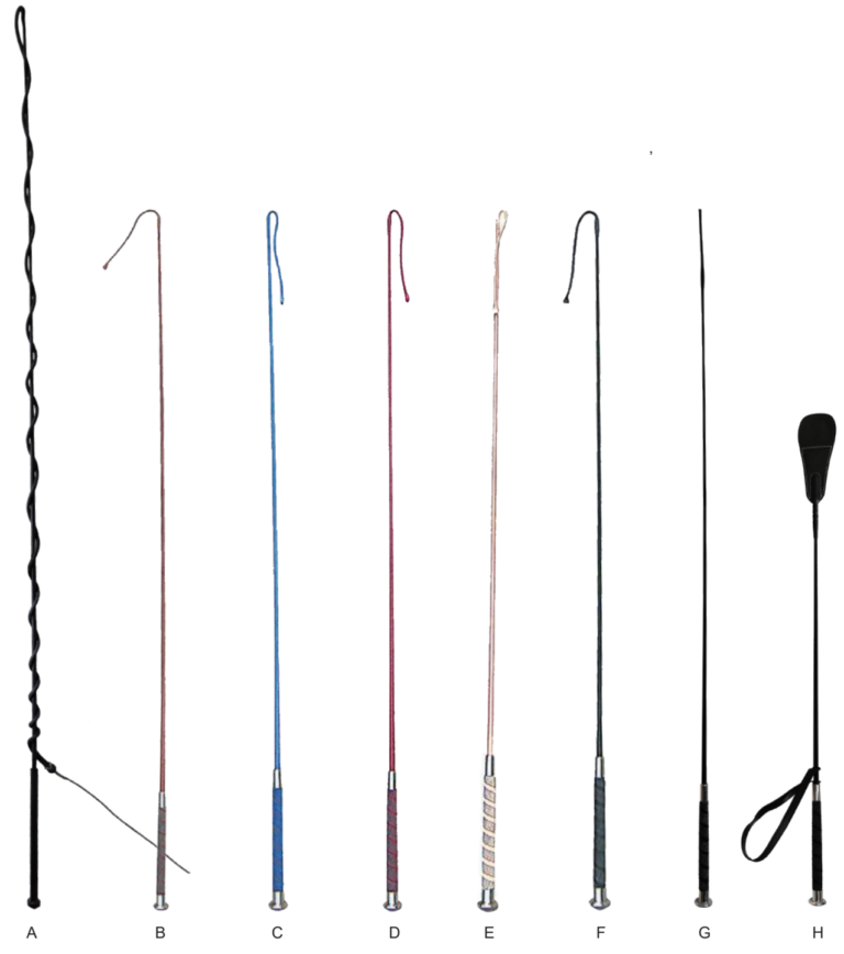 Livestock Whips in Eight Configurations - ERV-VI-RES-00007