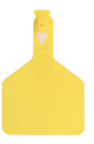 One-Piece TPU Cattle Ear Tags in Three Sizes - ERV-DF-ID-00002
