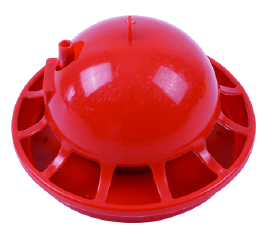 Pigeon Drinking Bowl