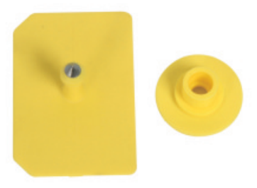 Rectangular TPU Pig Ear Tags 38.5 x 56 mm - ERV-DF-ID-00004