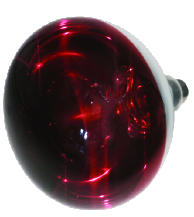 Smooth-Face Infrared Lamp - additional product view - ERV-VI-EQP-00005