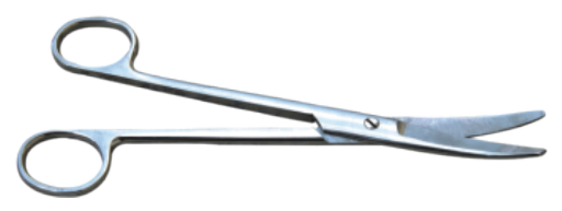 Stainless Steel Bowel Scissors - ERV-VI-SRG-00016