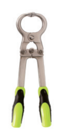 Stainless Steel Goat Castration Clamp - ERV-DF-EQP-00010