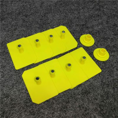 Rectangular pig ear tags and separate backs