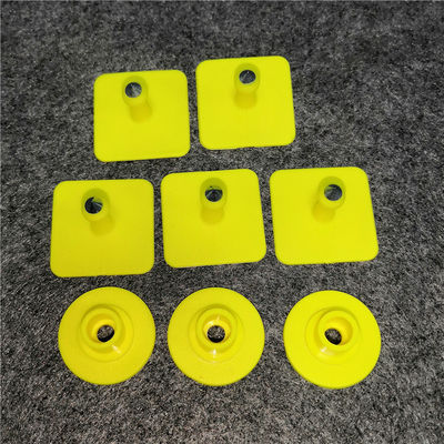 Square pig ear tags and backs