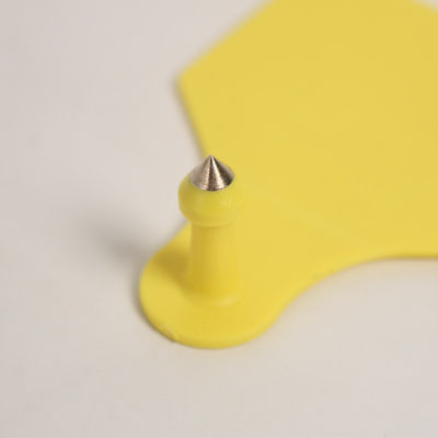 Fan-shaped pig ear tag pin close-up