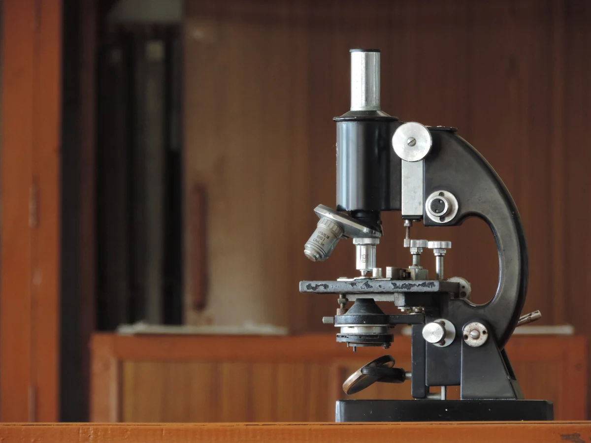 Compound light microscope used for laboratory sample examination